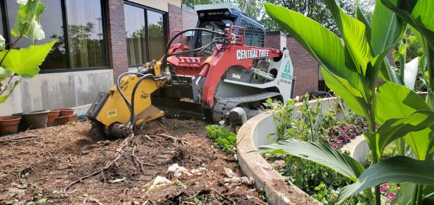 Central Tree equipment