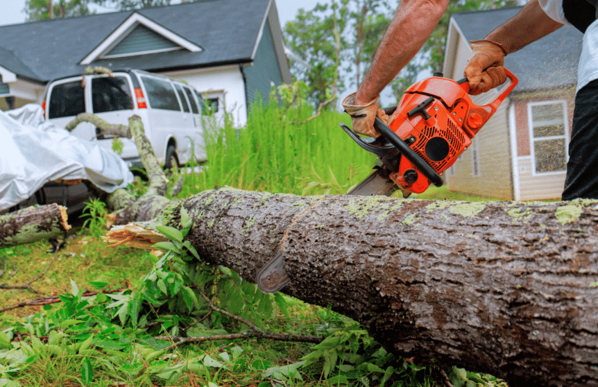 photo of a man cutting a tree with a chainsaw