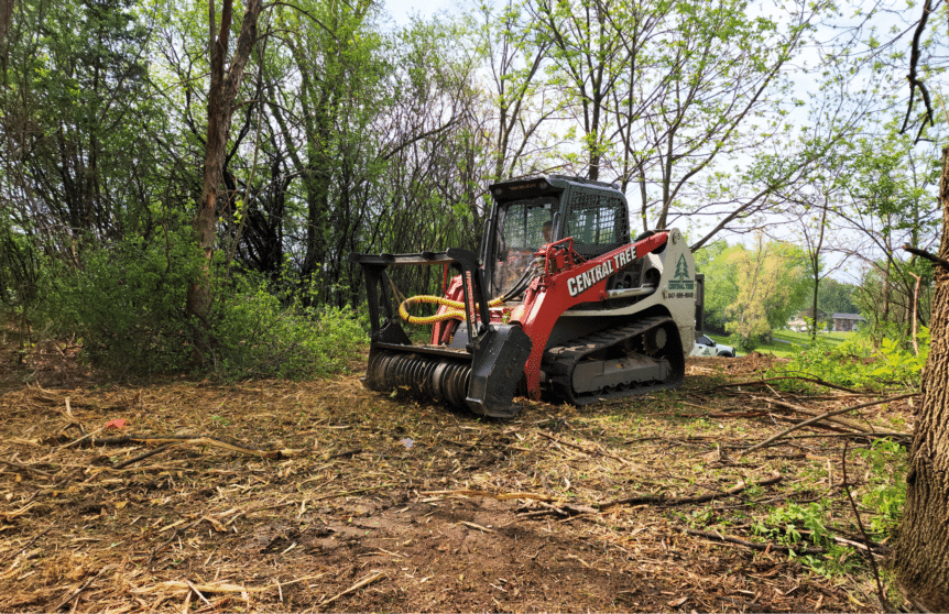 Central Tree skid steer with Denis Cimaf attachment